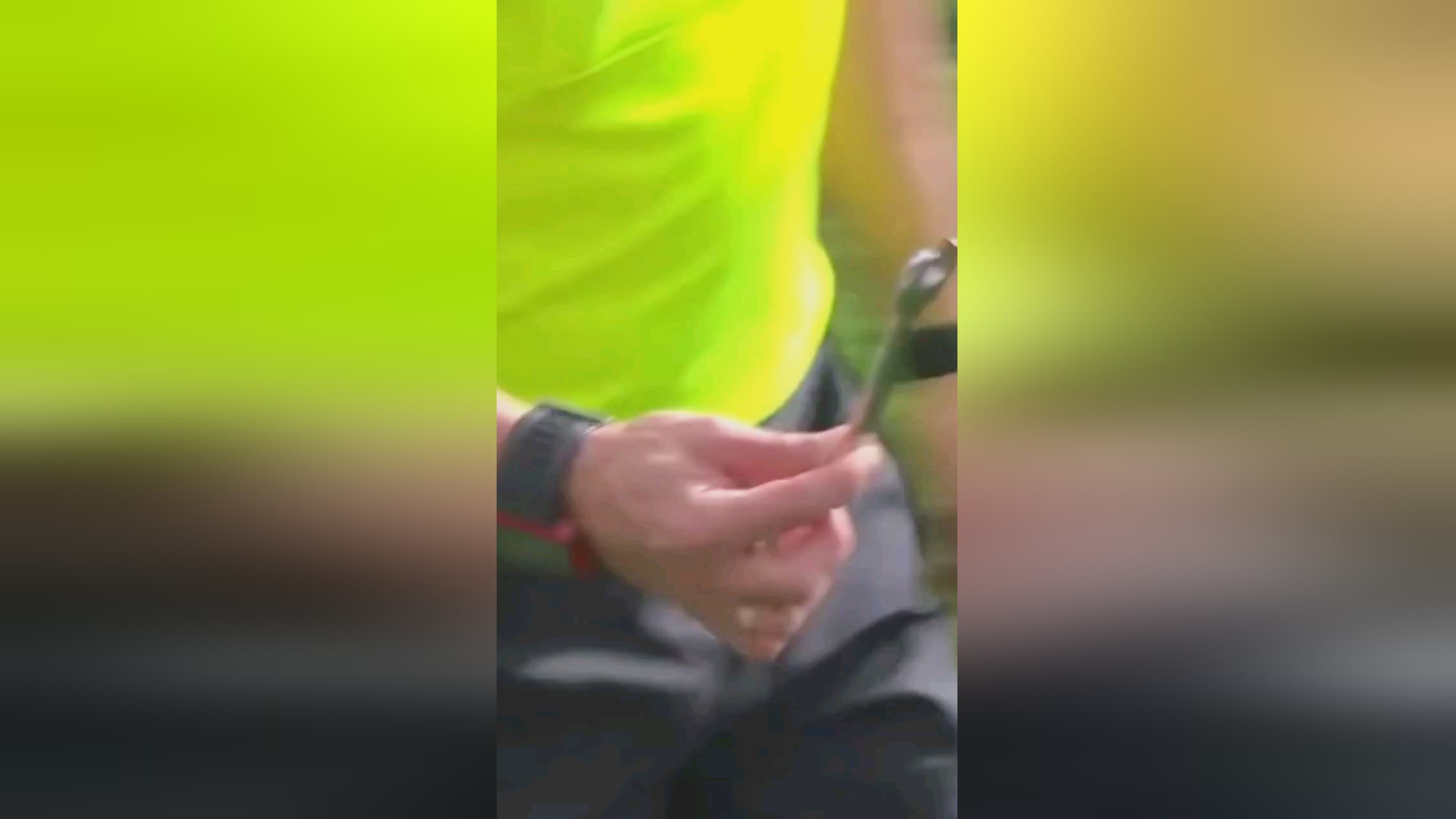 运动员的